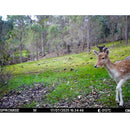 Spromise S378 Anti-Crime 4G 3G LTE Two-Way Communication Trail Camera