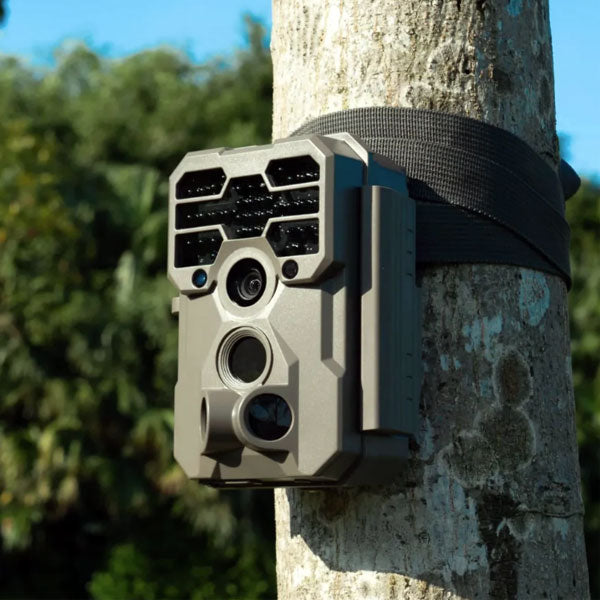 Choosing the Right Motion-Activated Wildlife Camera