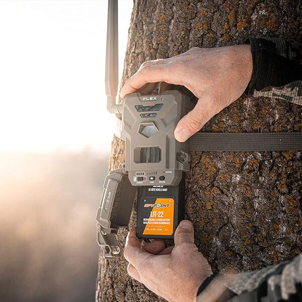 Step-by-Step Guide: How to Reset Your Trail Camera Like a Pro