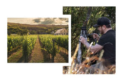 Exploring the Versatility of 4G Trail Cameras for Both Professional and Personal Use