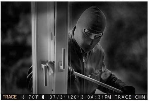 How to Secure Your Home and Property with Game or Trail Cameras