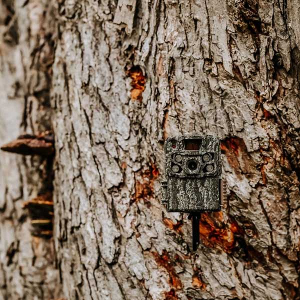 Browning Strike Force FHDR40 Trail Camera