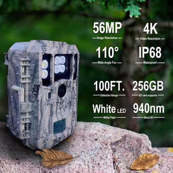 ScoutGuard BG662-D 4K Dual Flash Wide Angle Cam Trail Cameras Scoutguard 