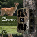 Pangolin H982 UHD 4K Night BlackFlash Trail Camera