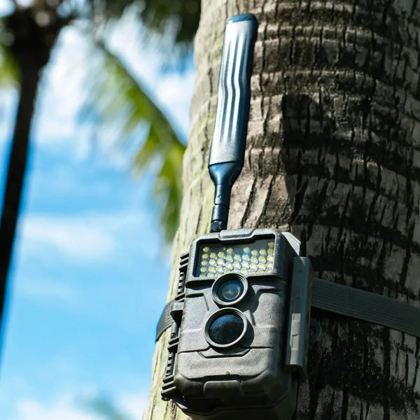 GardePro X20WF White Flash Cellular Trail Camera