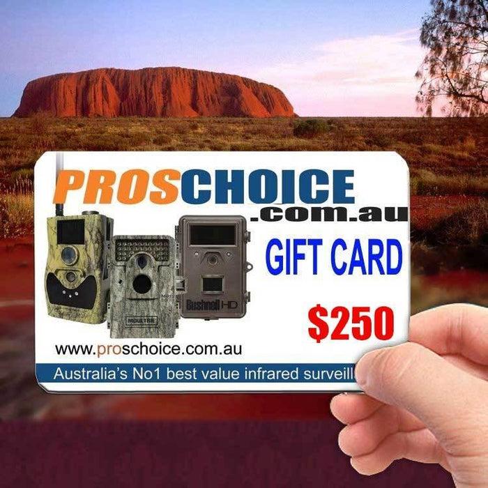 Gift Voucher $250 - ProsChoice Accessories vendor-unknown 