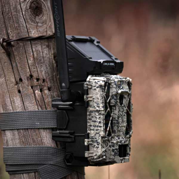 Spypoint LINK-S-Dark Trail Cameras Spypoint 