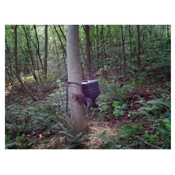ScoutGuard SG565 Professional No Motion Blur Night Color Camera Trail Cameras vendor-unknown 