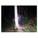 ScoutGuard SG565 Professional No Motion Blur Night Color Camera Trail Cameras vendor-unknown 