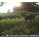 Big Game Eyecon Storm II Black Flash Trail camera TV4002 Trail Cameras vendor-unknown 