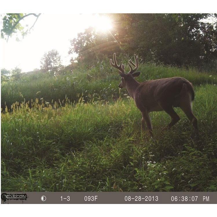 Big Game Eyecon Storm II Black Flash Trail camera TV4002 Trail Cameras vendor-unknown 